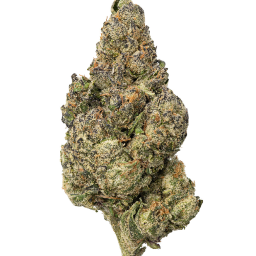 CHERRY PIE RUNTZ 3.5